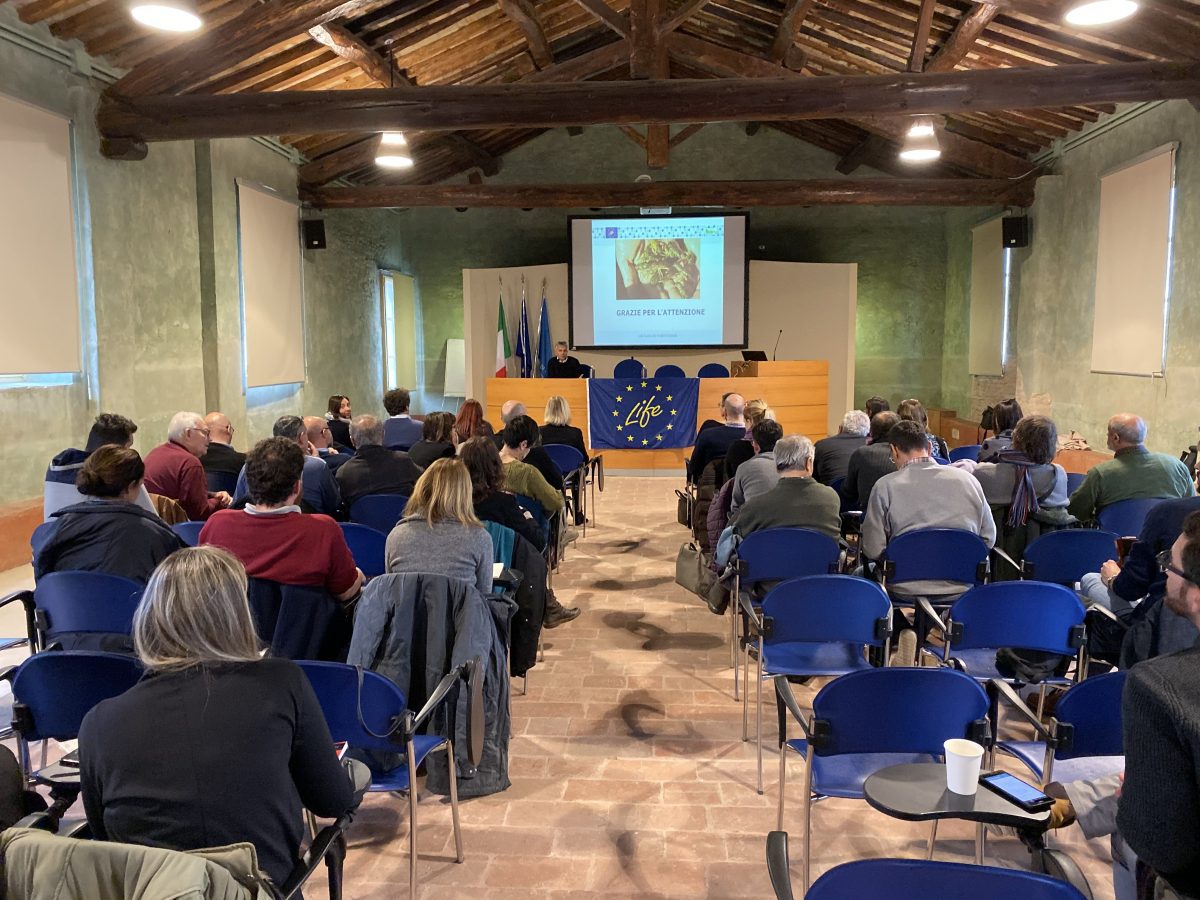 AL VIA IL PROGETTO LIFE CLAW PER LA CONSERVAZIONE DEL GAMBERO DI FIUME, COFINANZIATO DALL’UNIONE EUROPEA ATTRAVERSO LO STRUMENTO LIFE