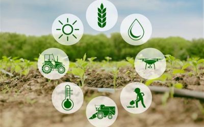 IL FUTURO DELLE RISORSE IDRICHE DISEGNATO DAL PROGETTO AGRI4FOOD