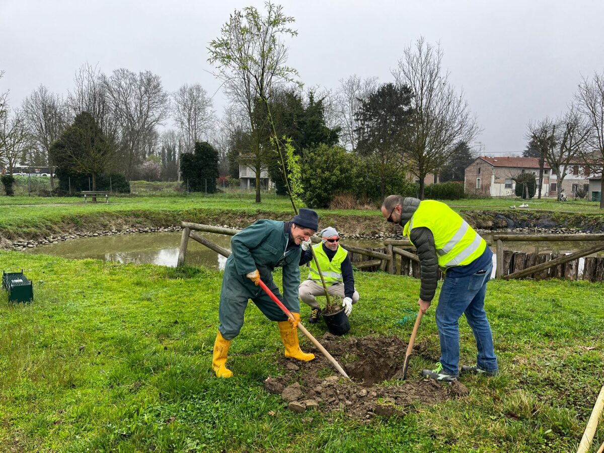 Festa dell’Albero – Consorzio di Bonifica e Legambiente: un patto per biodiversità e ambiente