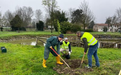 Festa dell’Albero – Consorzio di Bonifica e Legambiente: un patto per biodiversità e ambiente