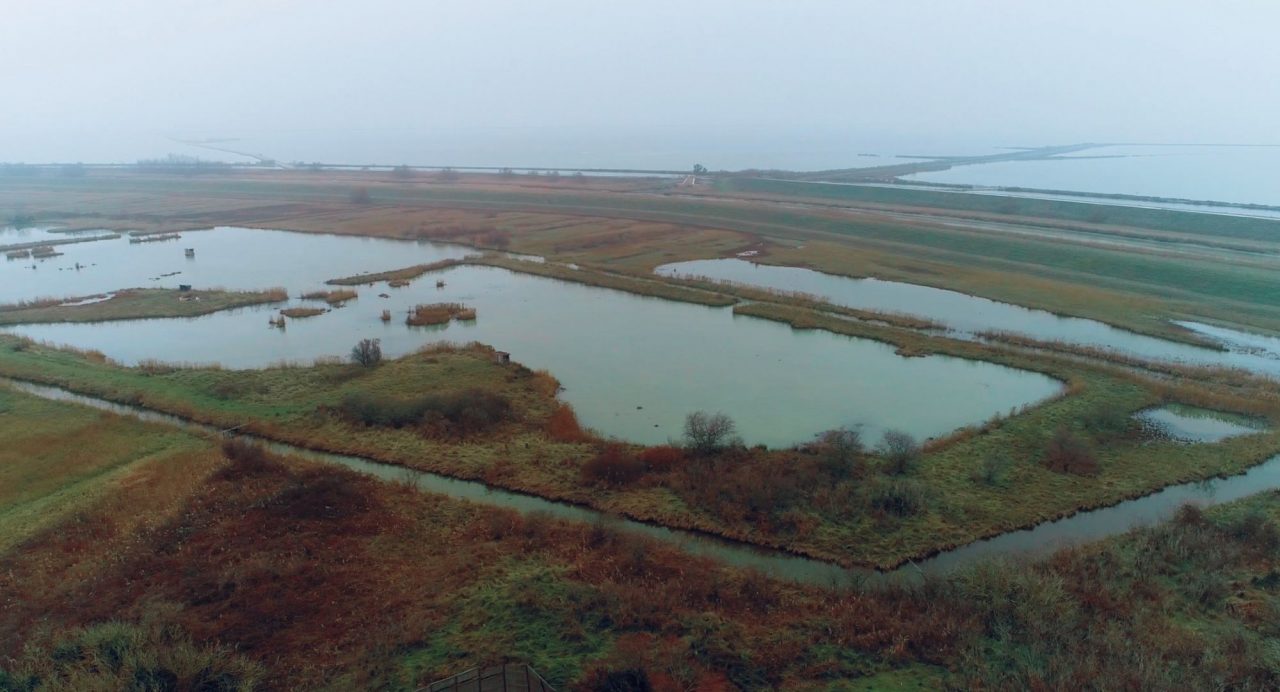 IN EMILIA ROMAGNA NASCE ACQUA CAMPUS NATURA TERZO POLO D’ECCELLENZA DELLA RICERCA ANBI – CER. LA TUTELA AMBIENTALE E’LA TERZA MISSION DEI CONSORZI DI BONIFICA