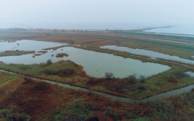 IN EMILIA ROMAGNA NASCE ACQUA CAMPUS NATURA TERZO POLO D’ECCELLENZA DELLA RICERCA ANBI – CER. LA TUTELA AMBIENTALE E’LA TERZA MISSION DEI CONSORZI DI BONIFICA