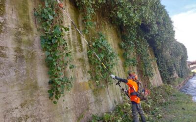 IN TOSCANA SI PREPARA IL CONDOMINIO PER IL RITORNO DELLE RONDINI