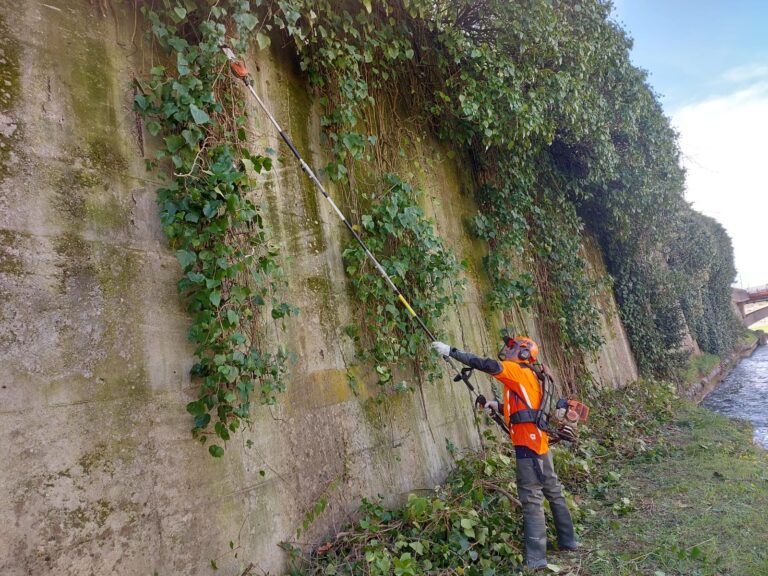 IN TOSCANA SI PREPARA IL CONDOMINIO PER IL RITORNO DELLE RONDINI