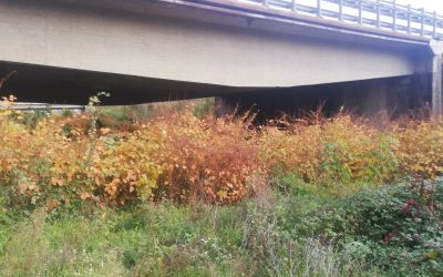 E’ ALLARME IDROGEOLOGICO ED AMBIENTALE IN TOSCANA – INDIVIDUATO IL POLIGONO DEL GIAPPONE NELL’ARNO