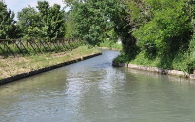 Prosegue la stagione irrigua sul territorio piacentino