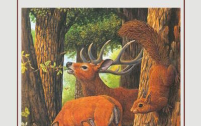 La Romagna selvatica di Eraldo Baldini e Massimiliano Costa  Presentazione del libro, lunedì 26 maggio a Lugo