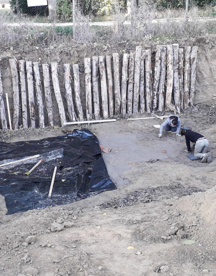 Un tesoro archeologico emerge dal Ciarle Sud a Poggio Renatico