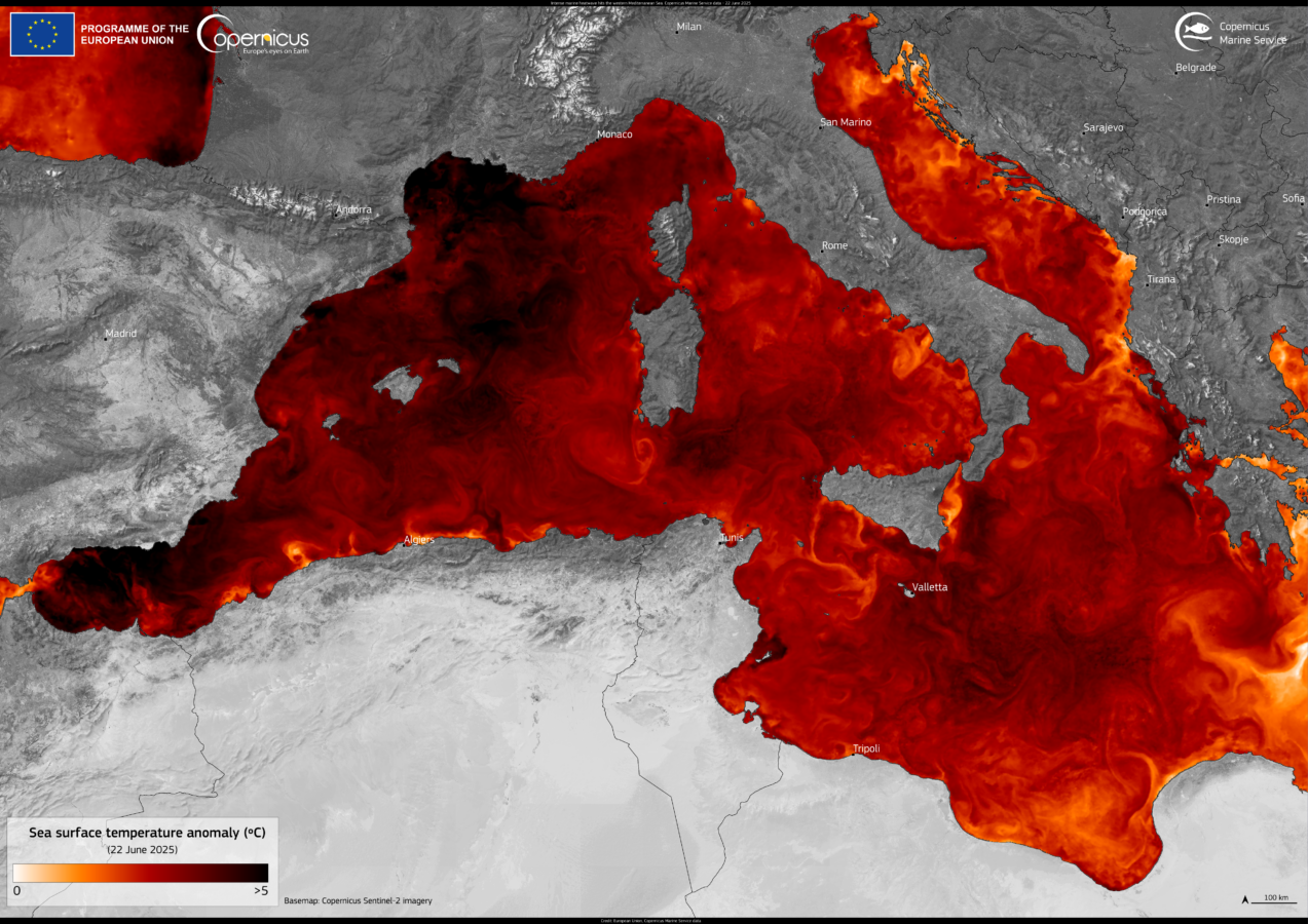 LA CRISI CLIMATICA FA RAGGIUNGERE AL MEDITERRANEO TEMPERATURE RECORD  FRANCESCO VINCENZI – Presidente ANBI “NELLA TEMPERSTA CLIMATICA NAVIGHIAMO A VISTA”