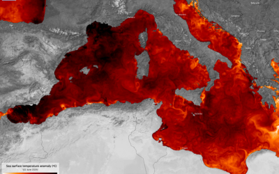 LA CRISI CLIMATICA FA RAGGIUNGERE AL MEDITERRANEO TEMPERATURE RECORD  FRANCESCO VINCENZI – Presidente ANBI “NELLA TEMPERSTA CLIMATICA NAVIGHIAMO A VISTA”