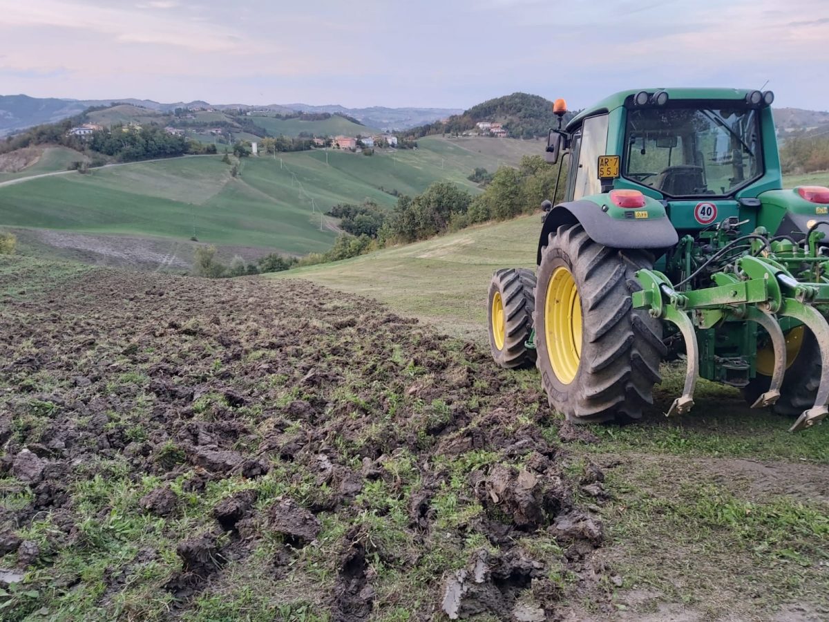 SPERIMENTAZIONE INTERNAZIONALE NEI CONSORZI DI BONIFICA: ARRICCHIMENTO ORGANICO DEI TERRENI PER CONTRASTARE IL RISCHIO IDROGEOLOGICO DI FRONTE AI  CAMBIAMENTI CLIMATICI