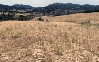 CRISI IDRICA NEL NORDOVEST SARDEGNA – IN CAMPAGNA BISOGNA DECIDERE COSA SACRIFICARE CON PESANTI CONSEGUENZE SUI REDDITI AGRICOLI