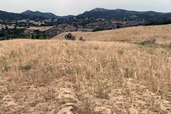 CRISI IDRICA NEL NORDOVEST SARDEGNA – IN CAMPAGNA BISOGNA DECIDERE COSA SACRIFICARE CON PESANTI CONSEGUENZE SUI REDDITI AGRICOLI