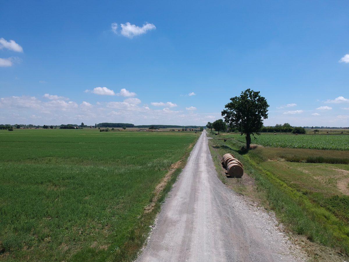 TORRICELLA, LA BONIFICA PARMENSE PONE IN SICUREZZA STRADA PADANA E IL CAVO DIVISORIO