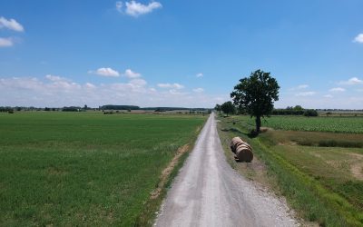 TORRICELLA, LA BONIFICA PARMENSE PONE IN SICUREZZA STRADA PADANA E IL CAVO DIVISORIO