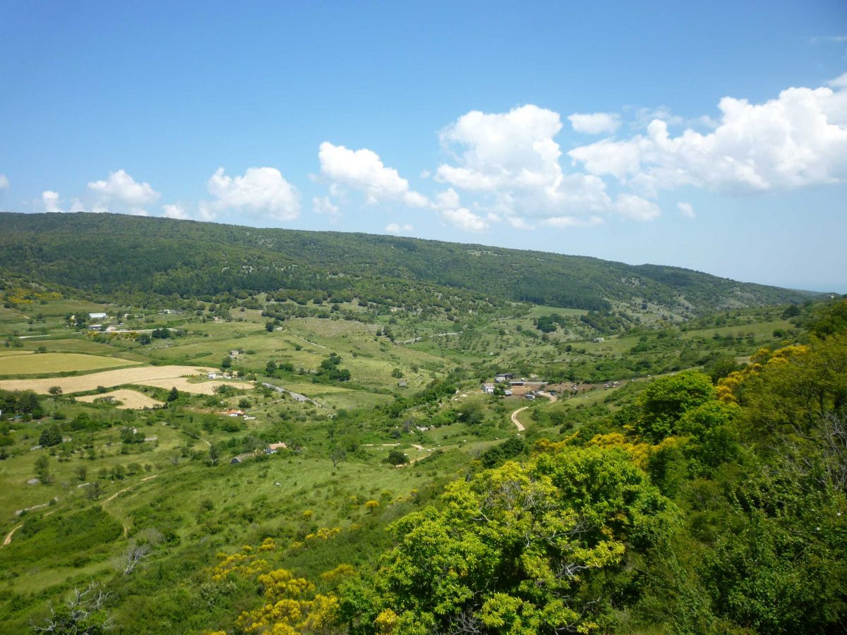 22 APRILE GIORNATA MONDIALE DELLA TERRA “GARGANO GREEN COMMUNITY”