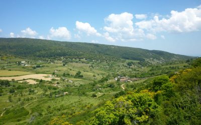 22 APRILE GIORNATA MONDIALE DELLA TERRA “GARGANO GREEN COMMUNITY”