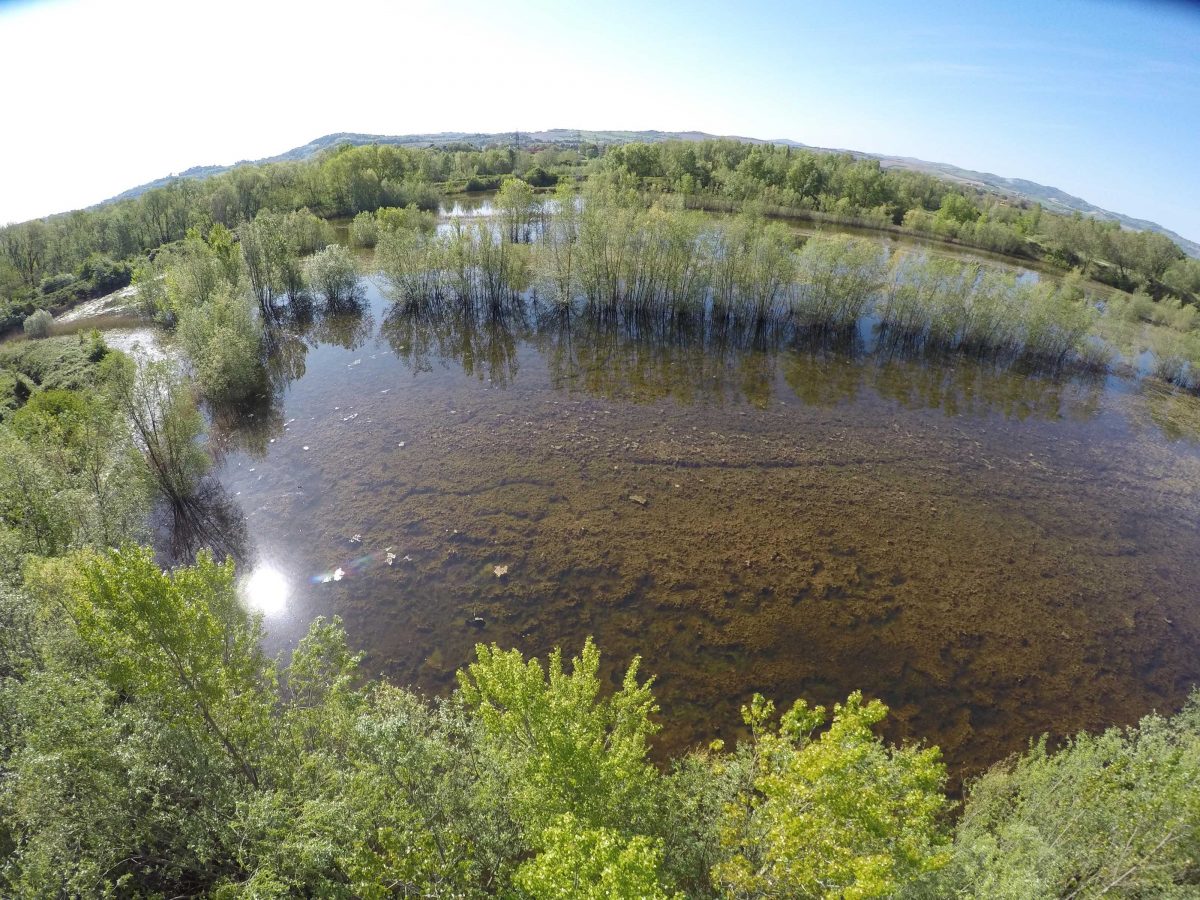 2 FEBBRAIO: GIORNATA MONDIALE AREE UMIDE. I CONSORZI DI BONIFICA COSTRUISCONO L’AMBIENTE: 180 AREE NATURALISTICHE 4 VOLTE LA SUPERFICIE DEL PARCO NAZIONALE D’ABRUZZO LAZIO MOLISE