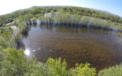 2 FEBBRAIO: GIORNATA MONDIALE AREE UMIDE. I CONSORZI DI BONIFICA COSTRUISCONO L’AMBIENTE: 180 AREE NATURALISTICHE 4 VOLTE LA SUPERFICIE DEL PARCO NAZIONALE D’ABRUZZO LAZIO MOLISE