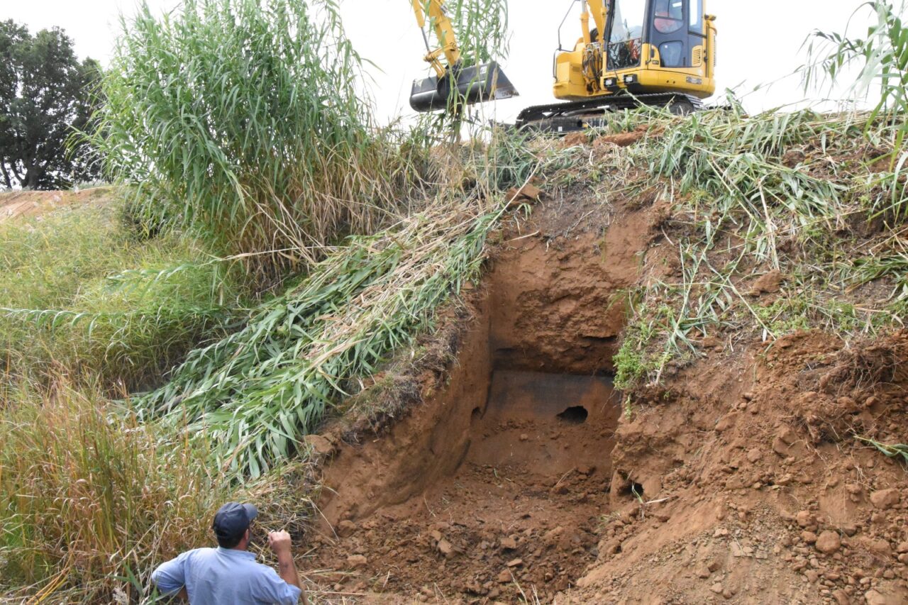 SCOPERTO IN TOSCANA LO SCRIGNO DELLE PIANTE ALIENE – E’ IL FIUME ARBIA