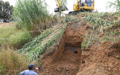 SCOPERTO IN TOSCANA LO SCRIGNO DELLE PIANTE ALIENE – E’ IL FIUME ARBIA