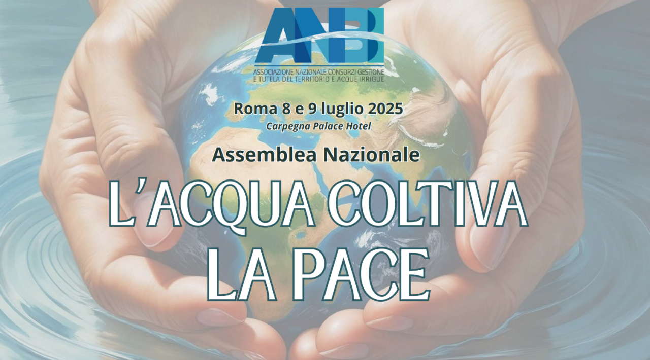 ASSEMBLEA ANBI 8-9 luglio 2025
