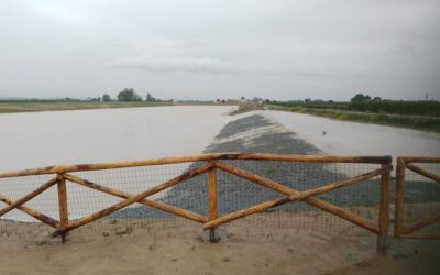Romagna Occidentale: servono 205 milioni di euro. È questa la stima dei danni causati dall’alluvione fatta a seguito della ricognizione del Consorzio di bonifica