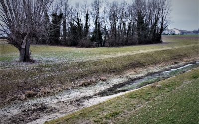 IL CALDO ANTICIPATO AUMENTA LE PREOCCUPAZIONI IDRICHE PER L’ESTATE – Osservatorio ANBI sulle risorse idriche