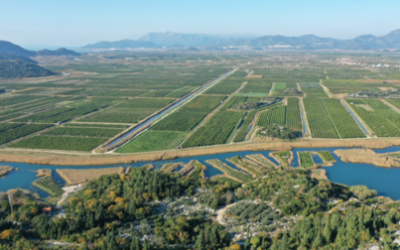 NEL VENEZIANO IL PROGETTO SWAMRISK TROVA L’ACQUITARD CHE PRESERVA  LA RISORSA IDRICA DALLA CONTAMINAZIONE SALINA  A CHIOGGIA SCOPERTA L’ACQUA DOLCE: I RABDOMANTI AL TEMPO DELLA CRISI CLIMATICA  FRANCESCO VINCENZI, Presidente ANBI  “LA RICERCA È FONDAMENTALE NELL’ADATTAMENTO ALLA CRISI CLIMATICA”