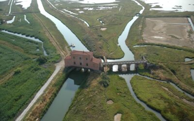 SARA’ SALVATA DAL MARE LA DIACCIA BOTRONA AREA NATURALISTICA SIMBOLO DELLA MAREMMA NEL MONDO