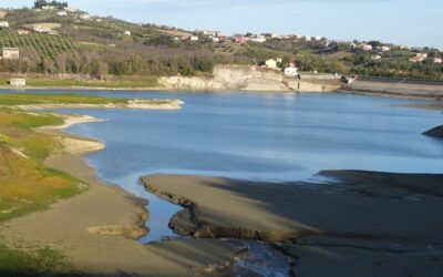 138 di 78.300 DA NORD A SUD E’ CORSA CONTRO IL TEMPO_AGRICOLTURA PENALIZZATA SIA DALLA TROPPA CHE DALLA POCA ACQUA
