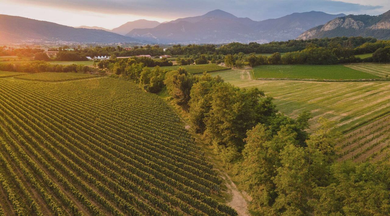 ACQUA E VINO ALLEATI CONTRO CRISI CLIMATICA – LA LUNGIMIRANTE ESPERIENZA DELLA FRANCIACORTA