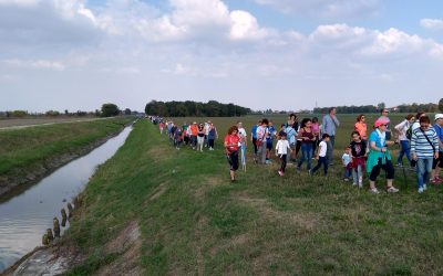 DOMENICA 13 OTTOBRE CAMMINATA AL BOSCO DELLA SALICETA. Passeggiata organizzata dal Consorzio della Bonifica Burana in collaborazione con le amministrazioni comunali e il Nordic Walking Live Asd.