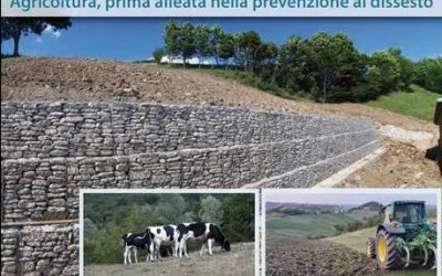 PATTO PER LA MONTAGNA, AGRICOLTURA PRIMA ALLEATA NELLA PREVENZIONE DEL DISSESTO. Martedì 22 maggio 2022 ore 10