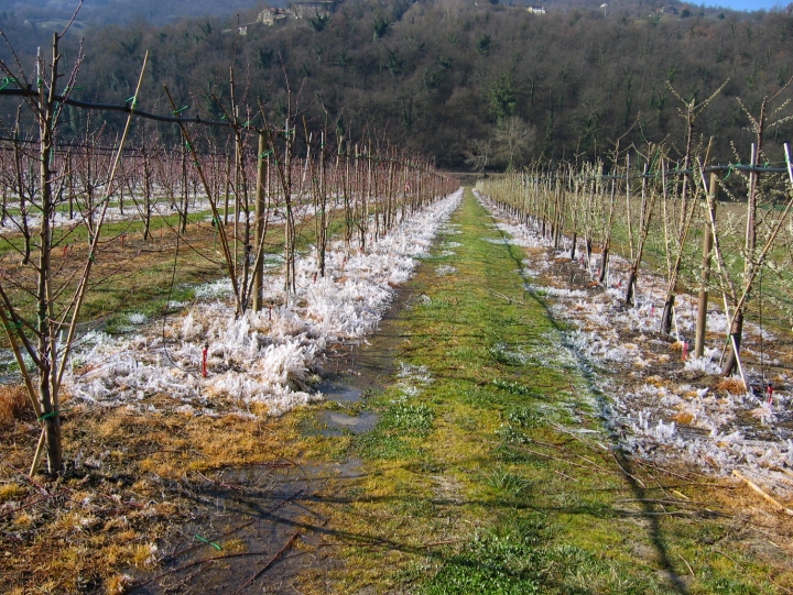 Risorsa idrica a disposizione per irrigazione e difesa antibrina