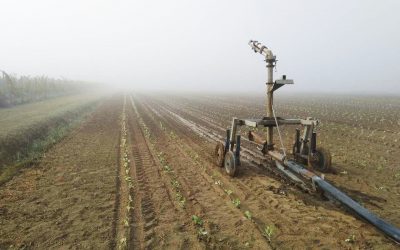 Irrigazione posticipata, richieste record al Consorzio: a ottobre +150%