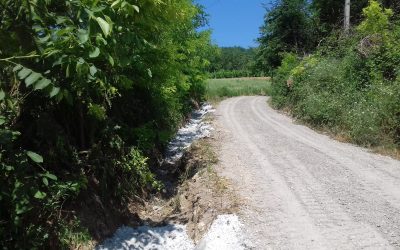 Terminati i lavori di regimazione idraulica a Lugagnano. Quando la prevenzione trova efficacia. Tanti gli interventi del Consorzio di Bonifica di Piacenza in territorio montano e tra quelli da poco terminati ci sono anche i lavori in località Credali e Faustina di Lugagnano.