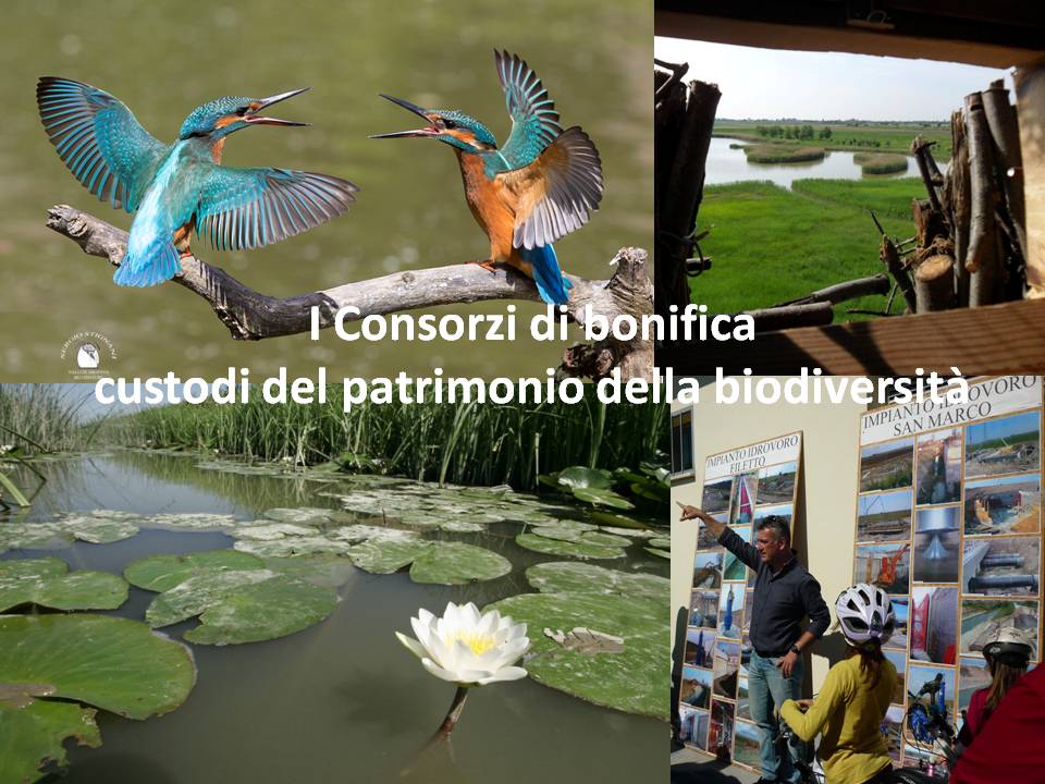 newsletter-concorso