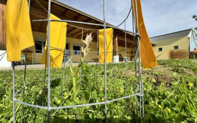 IN TOSCANA SCOPERTA UNA RARA ORCHIDEA NEL GIARDINO DI UNA SCUOLA – ANBI PER EARTH DAY