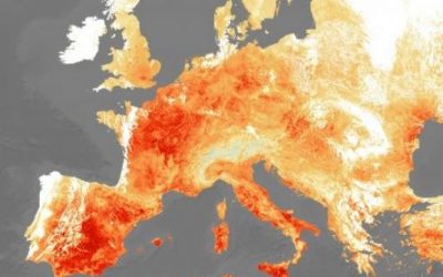 IRRIGAZIONE CONTRO IL RISCHIO DESERTIFICAZIONE. Il Consorzio della Bonifica Renana distribuisce mediamente ogni anno circa 70 milioni di metri cubi di acqua di superficie, soddisfando le esigenze di 17 mila ettari coltivati