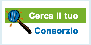 cerca consorzio