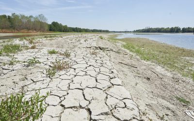 GRAZIE A DRAGHI PER AVER RIPORTATO SICCITA’ E CAMBIAMENTI CLIMATICI A CENTRO AGENDA GOVERNO