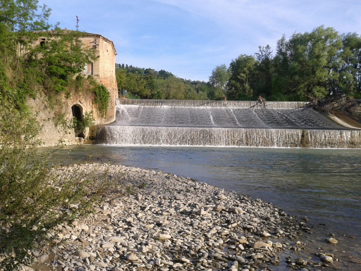 Cesena Città d’Acqua – 11 settembre ore 20:45 / 22:00