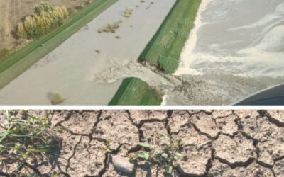 Da senz’acqua a sott’acqua, ormai è un attimo… bisogna essere pronti!