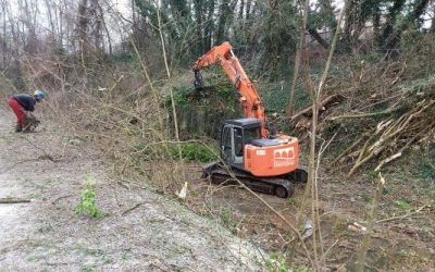 Rinasce il Canale Navile, sono iniziati i lavori di pulizia e sistemazione idraulica del tratto che scorre in città