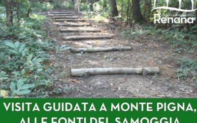 dove nasce il torrente Samoggia