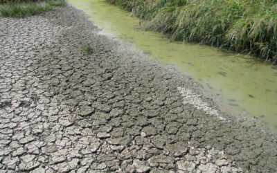 Alte temperature e siccità prolungano la stagione irrigua nel bolognese