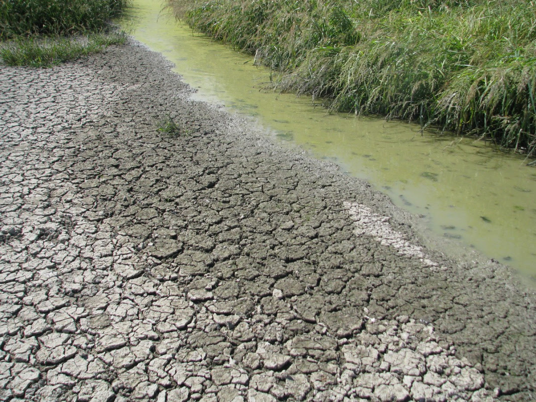 Alte temperature e siccità prolungano la stagione irrigua nel bolognese