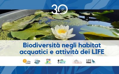 Biodiversità negli habitat acquatici e attività dei LIFE