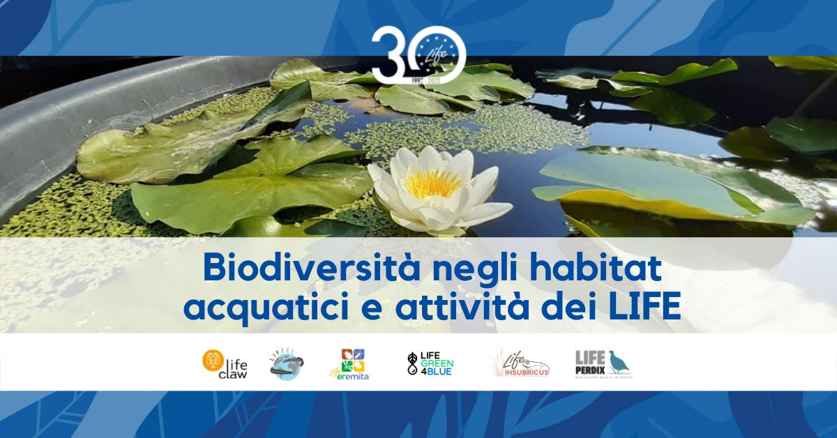 Biodiversità negli habitat acquatici e attività dei LIFE